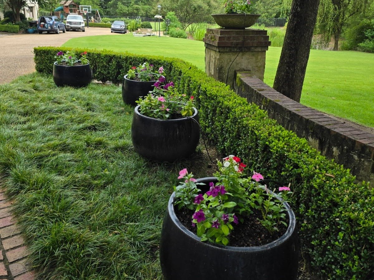 Romero Landscaping